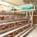 Ghana hot selling chicken laying hen cages/hen cage for poultry farm